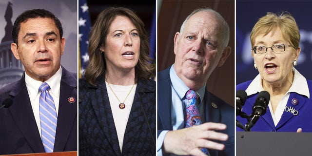 From left to right: Democratic Reps. Henry Cuellar of Texas, Cindy Axne of Iowa, Tom O'Halleran of Arizona, and Marcy Kaptur of Ohio.