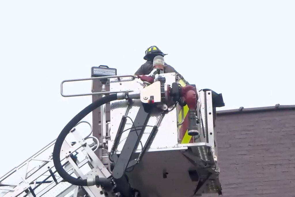 Firefighters used a ladder truck to rescue dogs from the roof