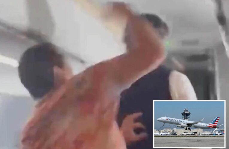 American Airlines passenger arrested for punching employee