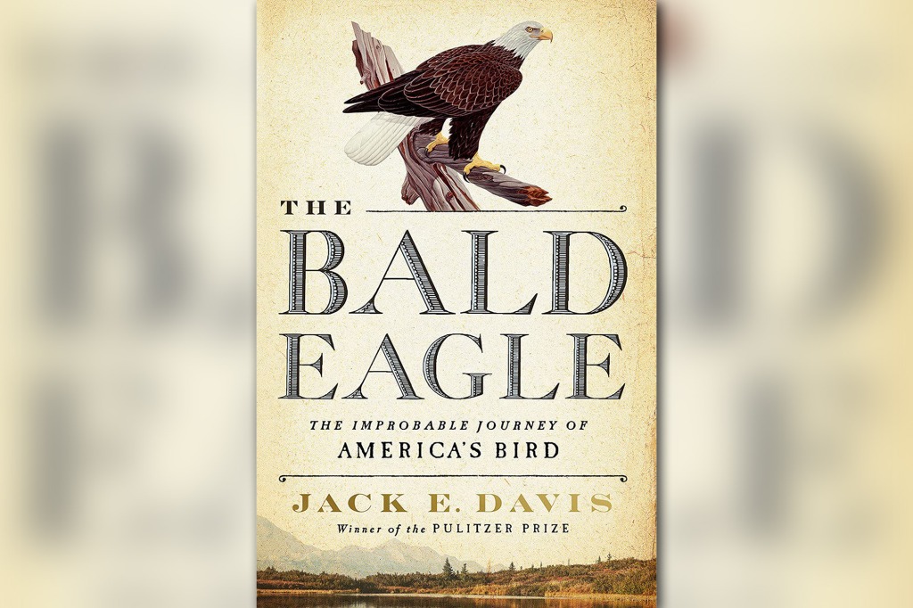 Davis said his instinct was to write a book that would provide more information about the eagle's "success story" and its history.