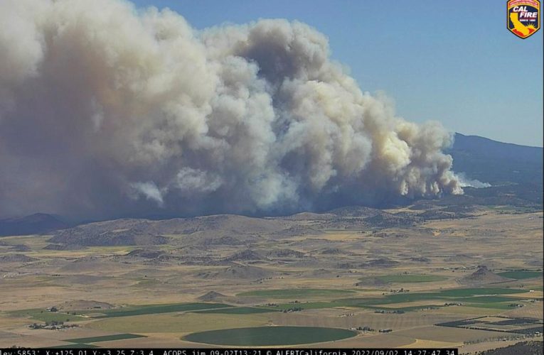 Thousands evacuate Weed, Lake Shastina, Edgewood ahead of fast California fire