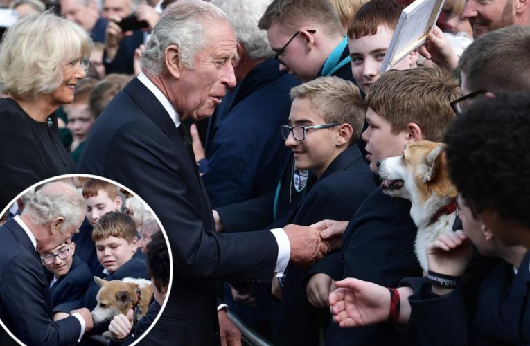 King Charles III meets corgi as he greets well-wishers