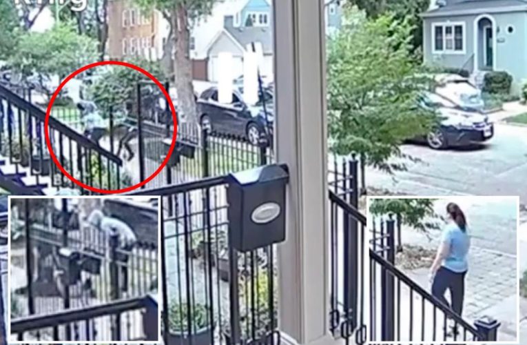 Armed muggers ambush woman in leafy Chicago neighborhood