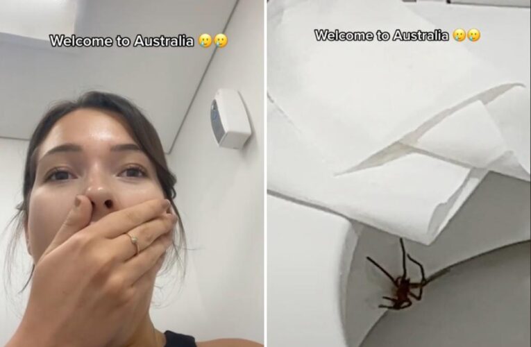 Model nearly sits on world’s largest spider while using toilet