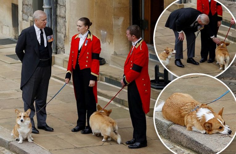 Prince Andrew comforts corgis after Queen Elizabeth funeral