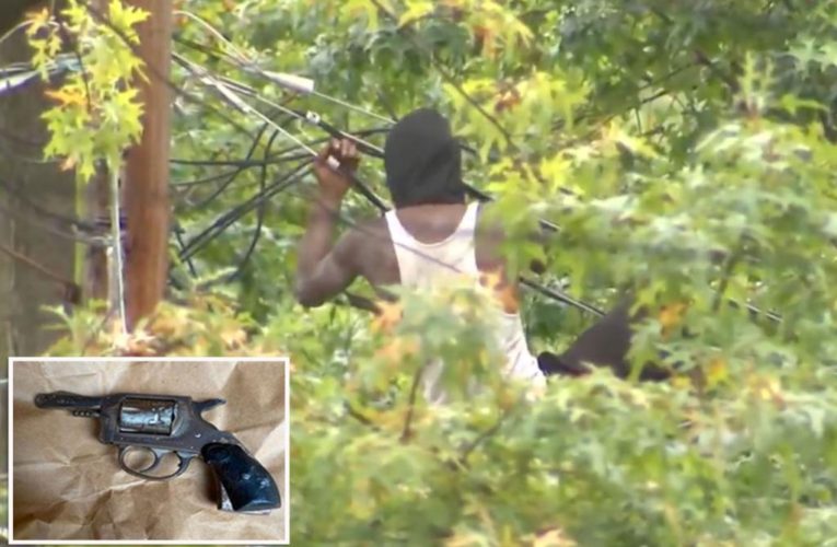 Washington DC shooting suspect Deandre Bigesby shoots climbs power lines to evade police before capture