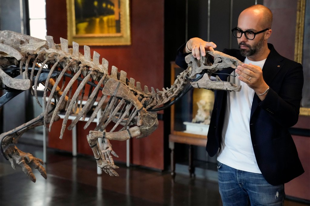 Expert Iacopo Briano shows the skull of Zephyr.