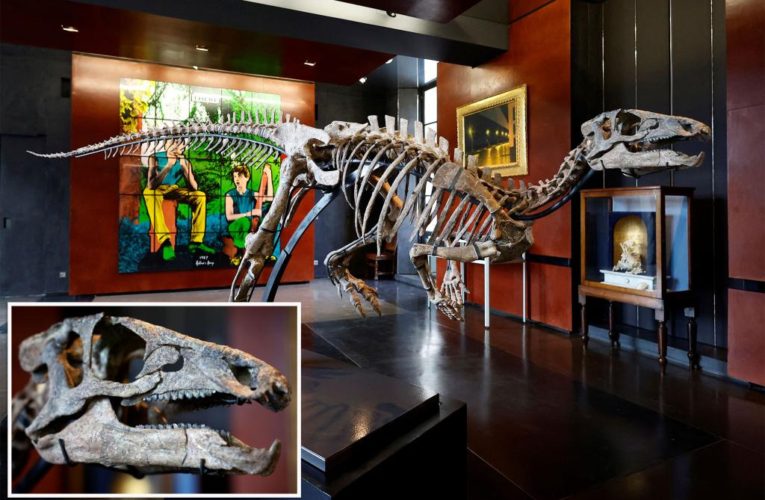 Dinosaur skeleton for sale could net $500K at Paris auction