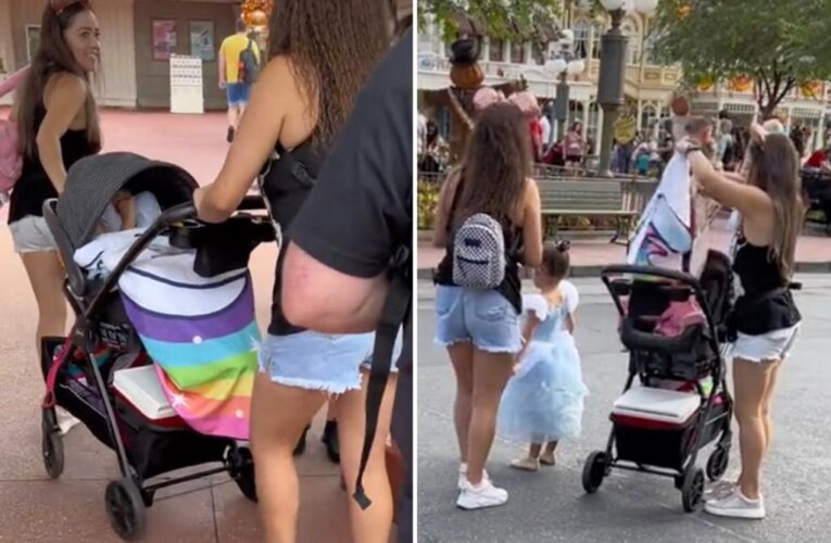 ‘Shameless’ Disney guests beat soaring entry fees by sneaking kids in strollers