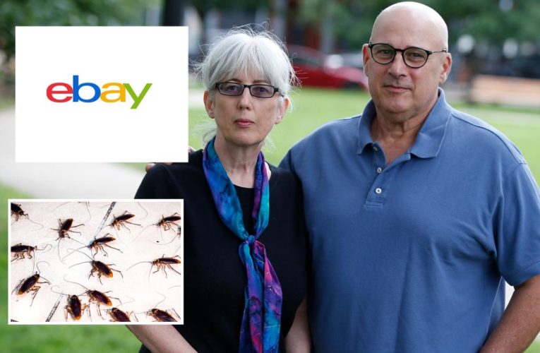 eBay execs terrorized bloggers with porn, cockroaches: lawsuit
