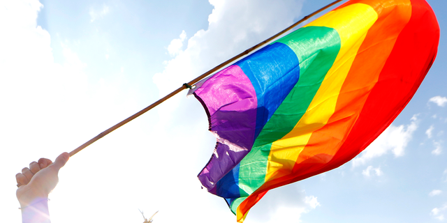 A person holds a rainbow flag during a gay pride parade. 