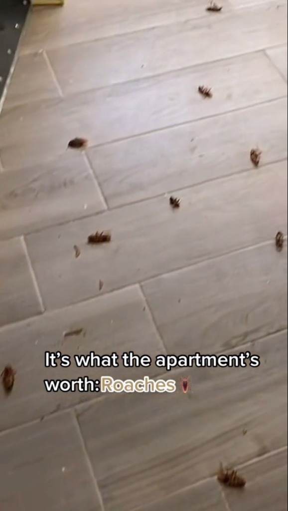 Rose claims her landlord is now attempting to lease her vermin-infested apartment for nearly  $5,000.