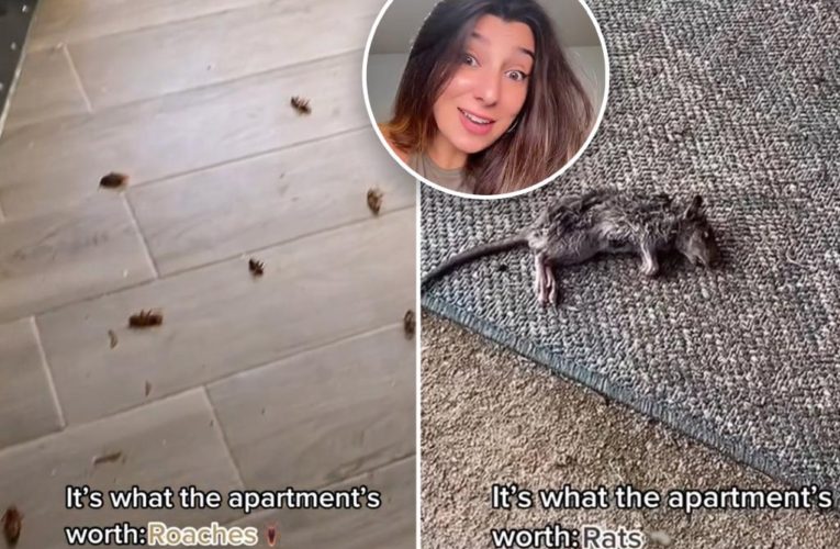 ‘Greedy’ NYC landlord blasted for rent hike on rat-infested apartment