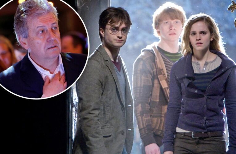 New ‘Harry Potter’ franchises in ‘development’: Warner Bros. boss