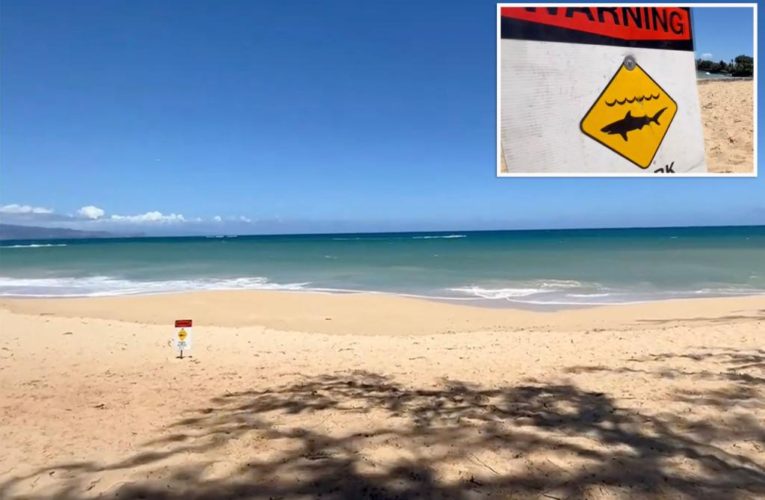 Shark off Hawaii leaves woman in ‘critical condition’ after bite