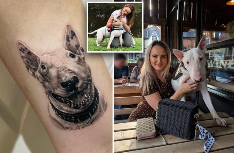 Heartbroken pet owner gets tattoo crafted with beloved dog’s ashes