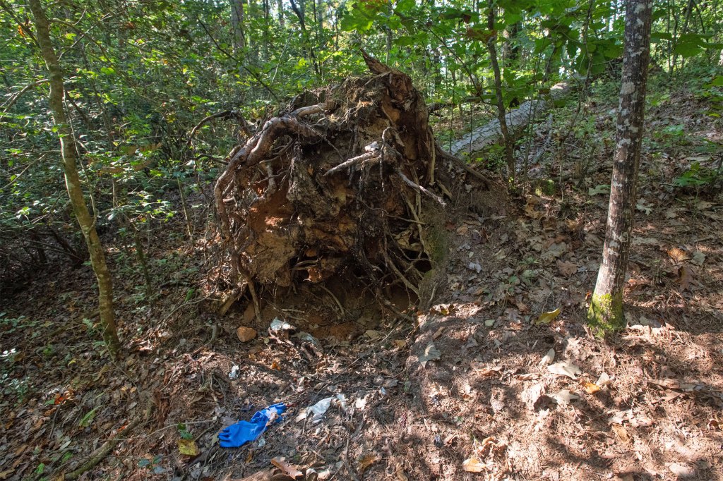 A photo of the secluded crime scene.