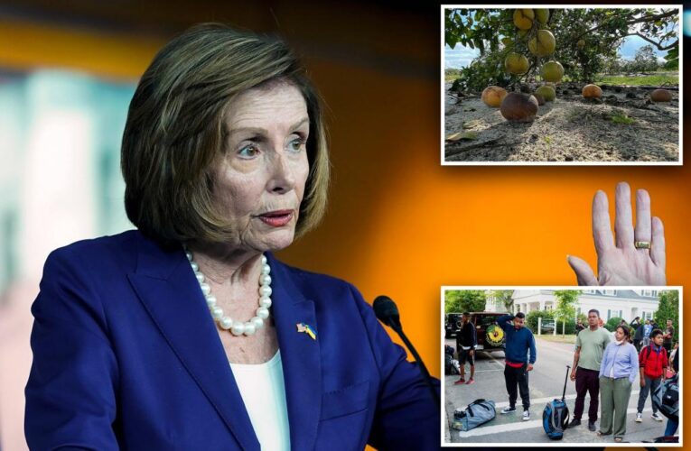 Nancy Pelosi says Florida needs migrants to ‘pick crops’