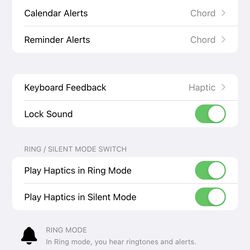 <em>iOS 16 now offers haptic keyboard feedback.</em>