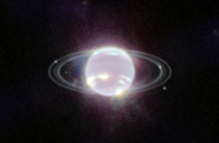 Neptune’s rings shine bright in James Webb Space images