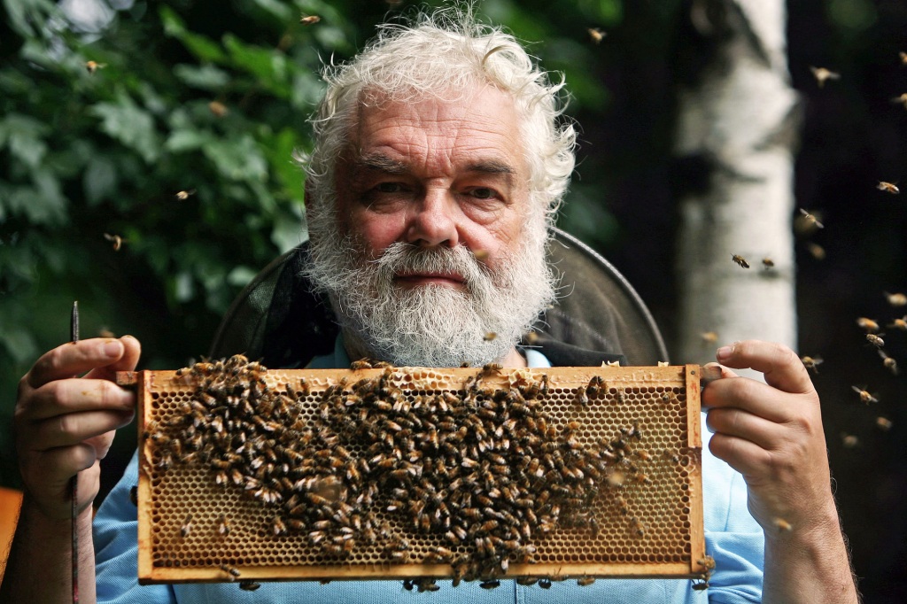 John Chapple, chairman of the London Beekeepers Association, poses holding a section from one of the beehives he looks after in Lambeth Palace.