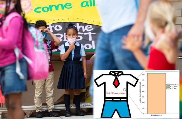 Cancer-causing ‘forever chemicals’ found in school uniforms