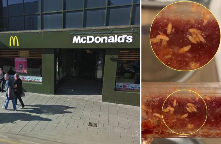 Gross video shows maggots in McDonald’s ketchup dispenser