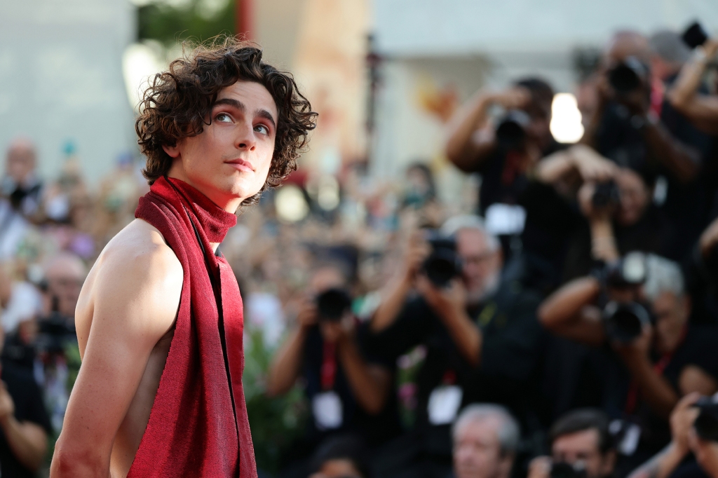 Timothee Chalamet attends the "Bones And All" red carpet.