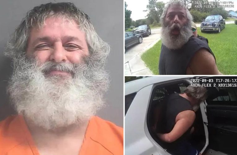 Florida man Mark Greenburg arrested for allegedly stalking girl, 6