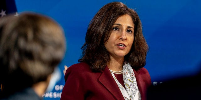 Neera Tanden, who is currently serving as President Biden's staff secretary, was the president and CEO of the Center for American Progress 