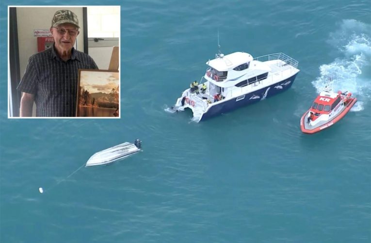 New Zealand boat crash involving whale victims identified