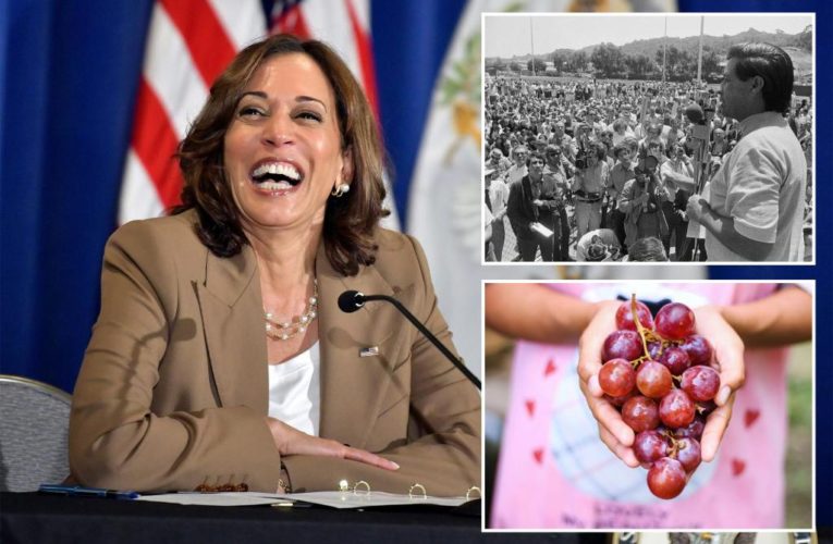 Harris claims to eat 1st grape in her 20s over labor boycott but dates add up