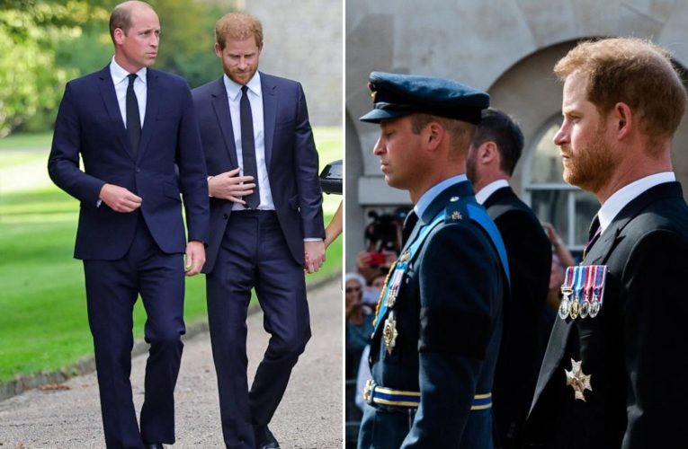 Prince William, Prince Harry reunite at Queen Elizabeth’s funeral