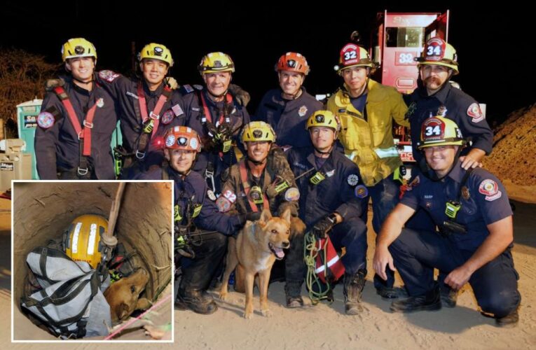 Pasadena firefighters rescue blind dog from hole