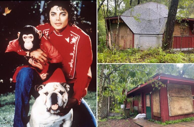 Michael Jackson’s chimpanzee hunkers down for Hurricane Ian