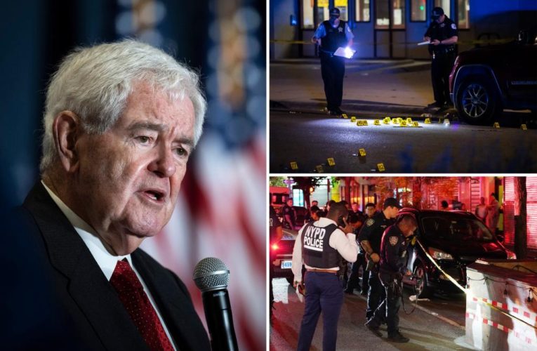 Newt Gingrich warns of civil breakdown over rising crime