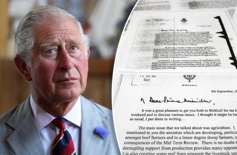 Inside King Charles’ infamous ‘black spider memos’