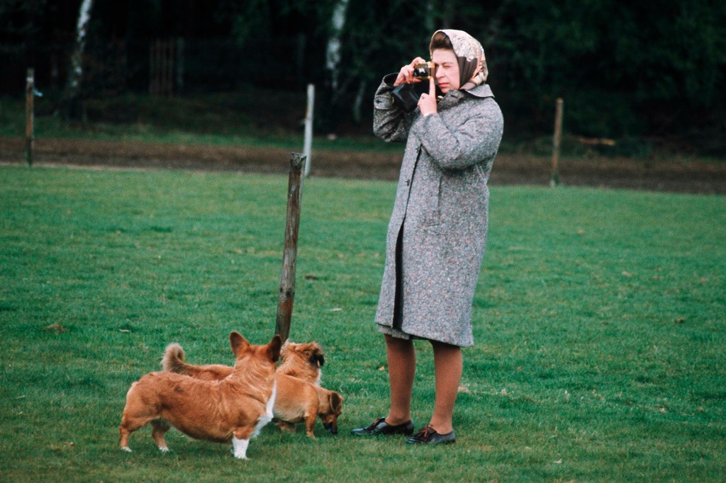 Queen Elizabeth II photographing her corgis at Windsor Park in 1960