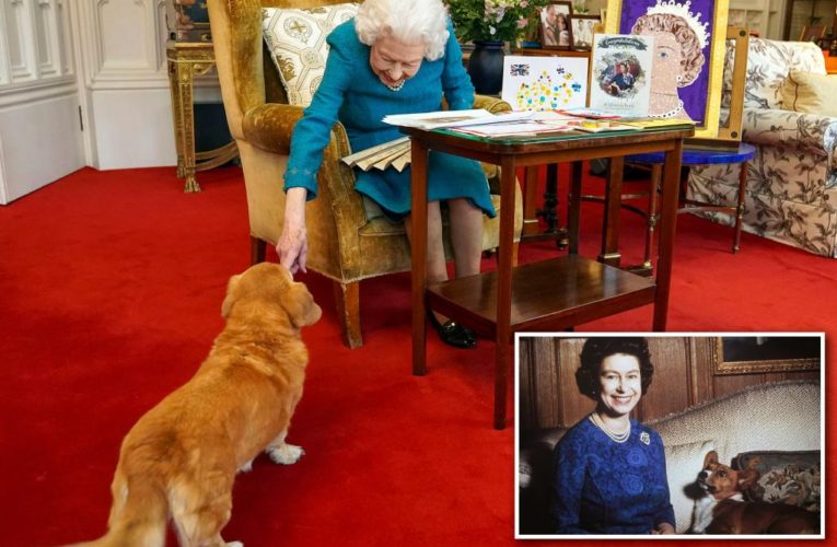 Duke and Duchess of York to take on Queen Elizabeth’s corgis