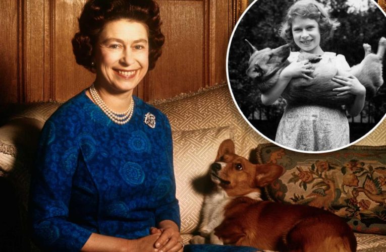 Where Queen Elizabeth’s dogs and horses will go after her death