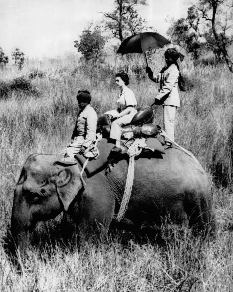 Atop an elephant on a 1961 trip to Nepal, Queen Elizabeth embarked on a rhinoceros hunt from under a parasol.