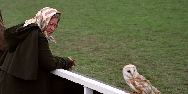 Britain's Queen Elizabeth II keeps a close eye on a Barn Owl that landed close to her as she watched a flying display of birds of prey during a visit to the Royal Windsor Horse Show.