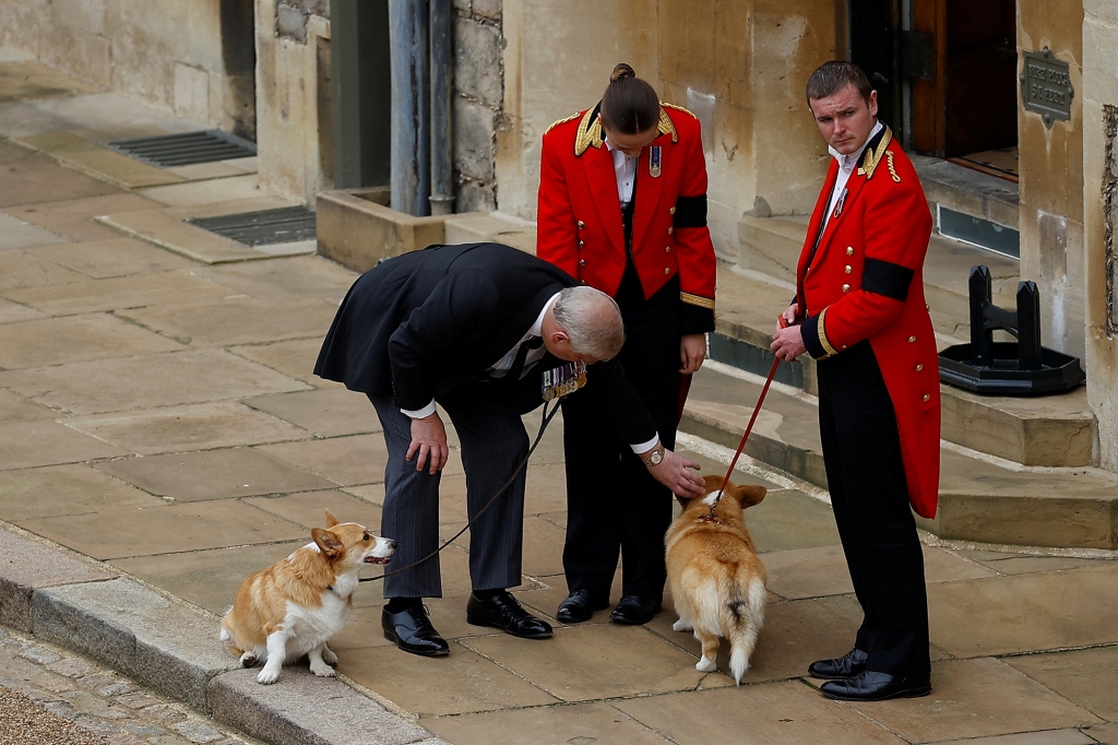 Britain's Prince Andrew with royal corgis as they await the cortege on the day of the state funeral and burial of Britain's Queen Elizabeth, at Windsor Castle in Windsor, Britain, September 19, 2022. REUTERS/Peter Nicholls/Pool