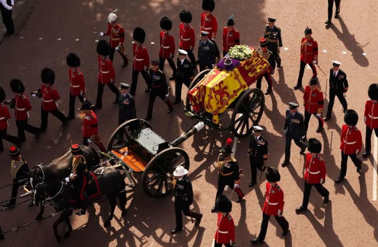 Queen Elizabeth funeral steeds to carry decades of symbolism