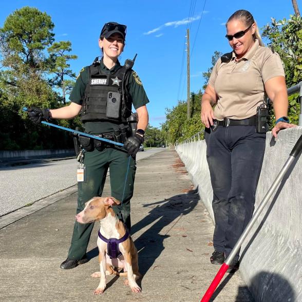 The rescued dog, Orange County Sheriff's Office deputy and Animal Services offer pose.