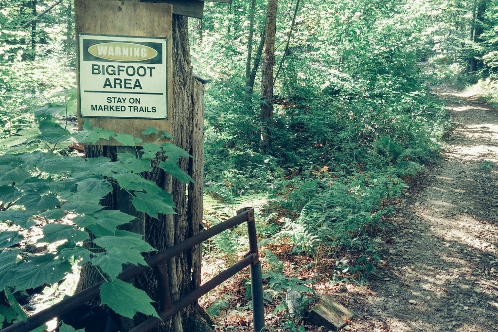 Exterior of a "Warning Bigfoot" sign on a Vermont dirt road.