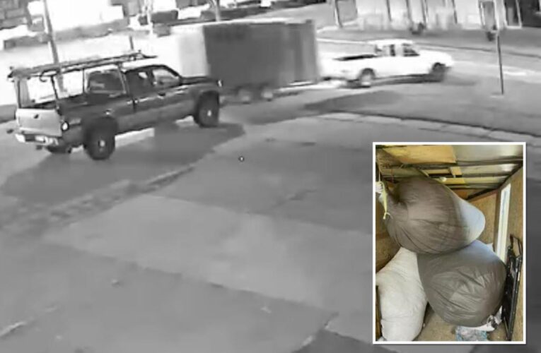 Thief steals truck before learning it’s loaded with bat poop