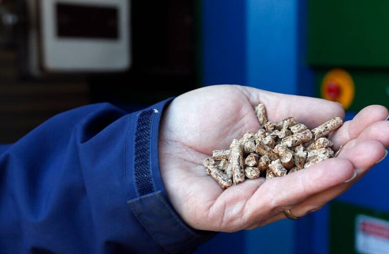 Energy crisis: Spaniards seek wood pellets and solar panels to heat homes