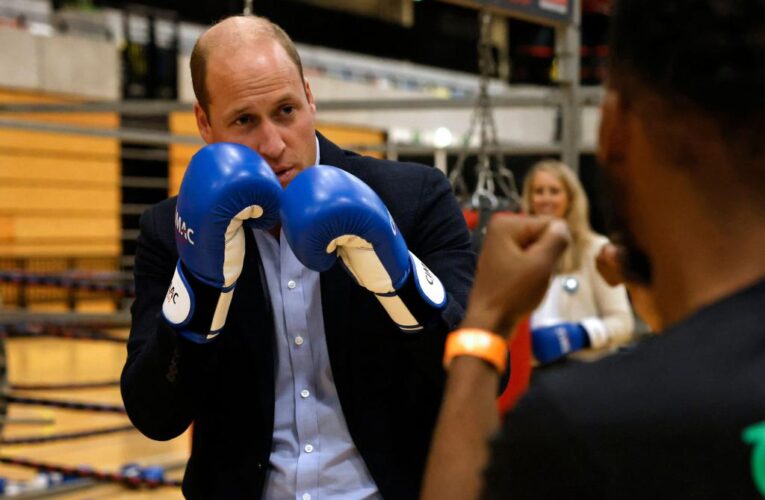 Prince William throws punches for charity: video