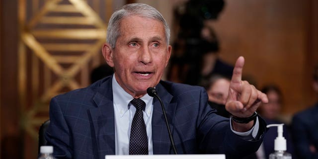 Anthony Fauci, director of the National Institute of Allergy and Infectious Diseases, testifies before Congress. 